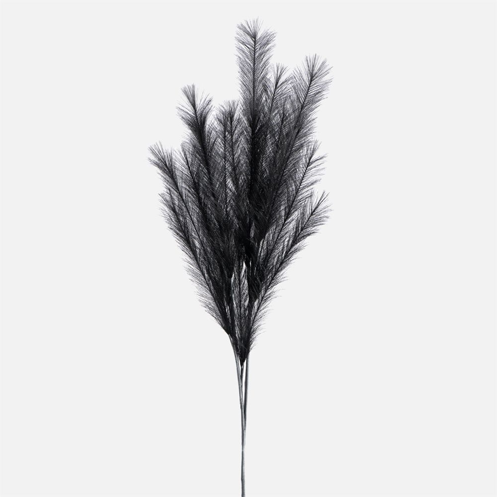 Black Desert Feather Pampas